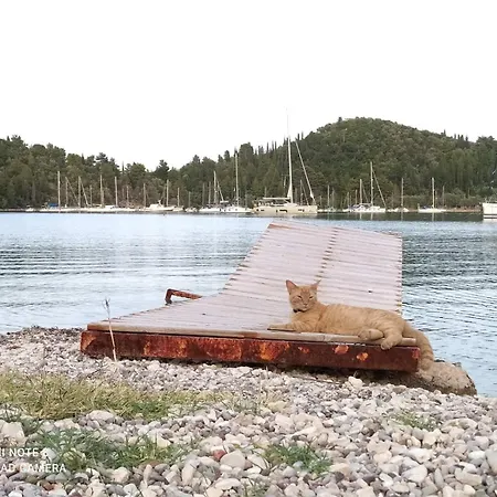 アパート A2- Alexandri *