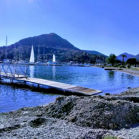 A2- Alexandri